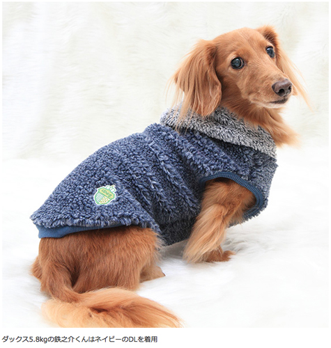  2017 iDog Autumn & Winter Collection Part4♪_e0166336_1619464.jpg