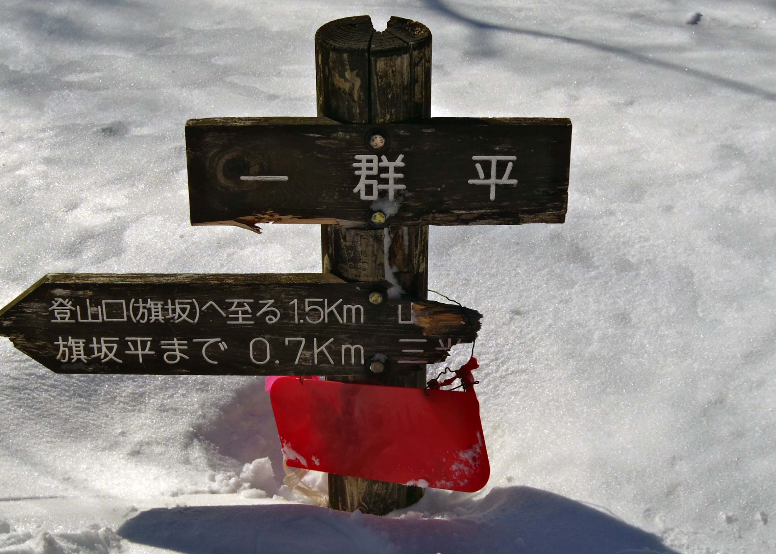 d0347140_13043708.jpg