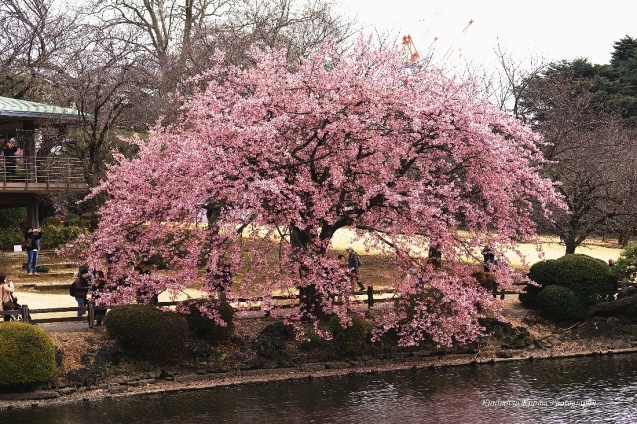 c0236843_12592034.jpg
