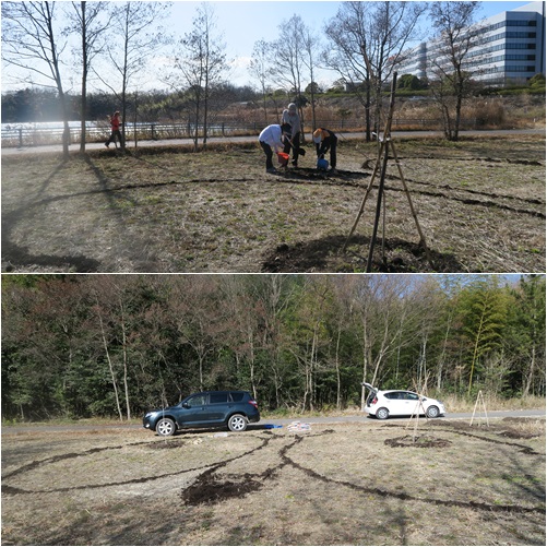 2017年愛知池バタフライガーデン作業開始_f0313744_1351530.jpg