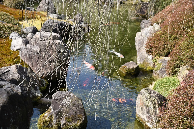 a0237349_16454019.jpg