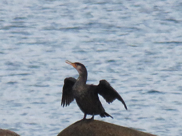 f0214649_06091034.jpg