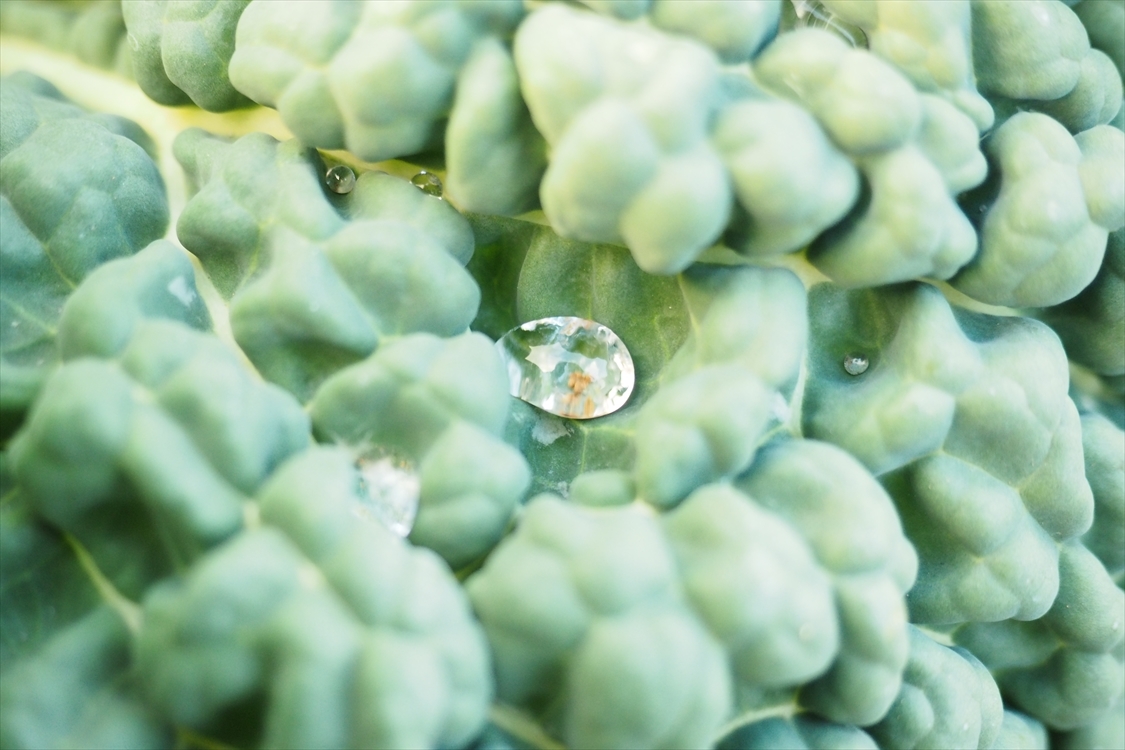 【THE FARM】自分で野菜収穫 ⇒ 絶品野菜鍋！ ⇒ そしてコテージでのんびり_b0008655_15101781.jpg