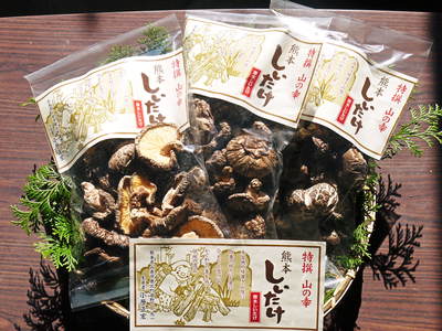 原木しいたけ　最も美味い“春子”を3月10日(金)より出荷します！大好評発売中!!_a0254656_1724209.jpg
