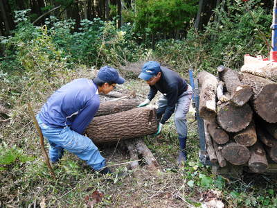 熊本県産!原木しいたけ大好評発売中! 最も美味い“春子”を出荷中!ただしまもなく今期のカウントダウンです_a0254656_18282548.jpg