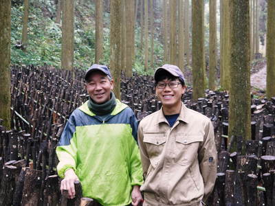 原木しいたけ　最も美味い“春子”を3月10日(金)より出荷します！大好評発売中!!_a0254656_18504635.jpg