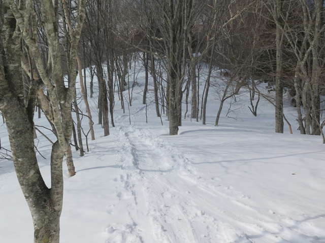 c0116856_19463640.jpg