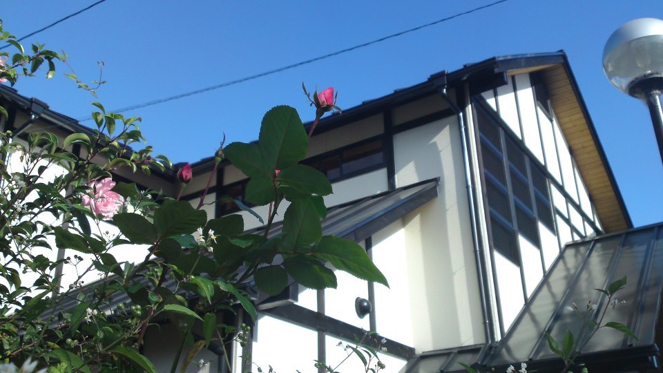 c0115560_15411834.jpg
