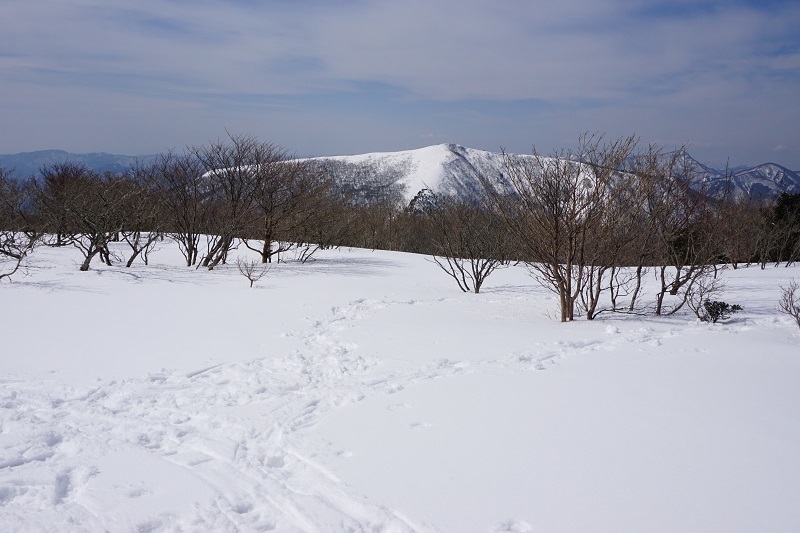 ひろしま県民の森_e0360767_10291791.jpg