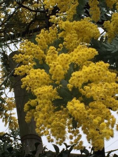 a0335677_21005539.jpg