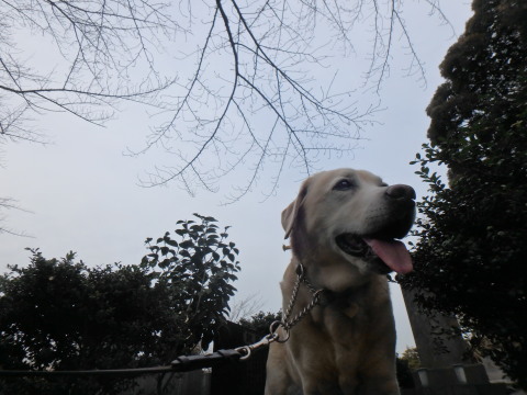 f0052277_02130441.jpg