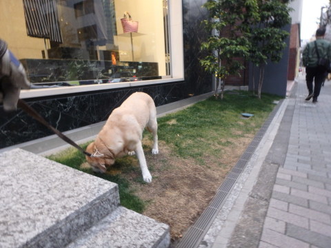 f0052277_02445769.jpg
