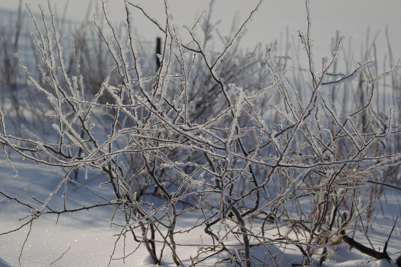 a0052080_23044412.jpg