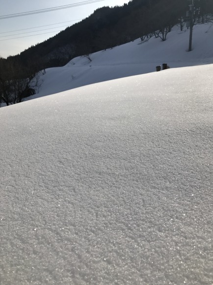 氷ノ山東尾根とおまけの花_e0024081_10062804.jpg