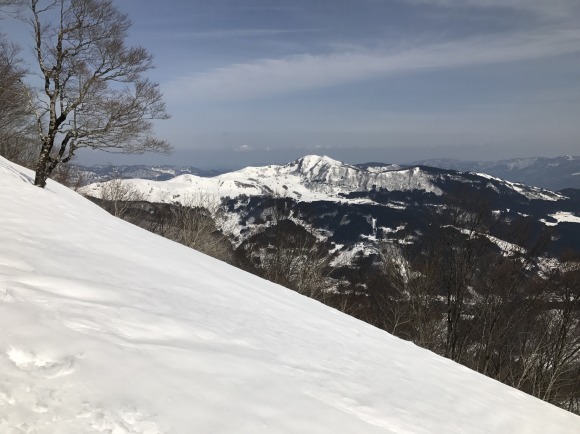 氷ノ山東尾根とおまけの花_e0024081_10534503.jpg