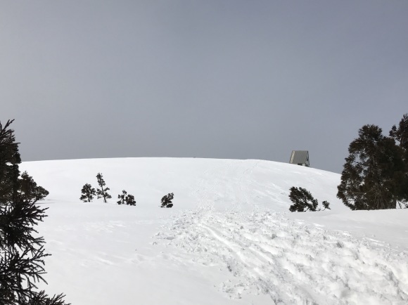e0024081_11021083.jpg