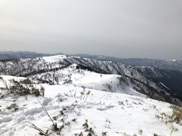 氷ノ山東尾根とおまけの花_e0024081_11152415.jpg