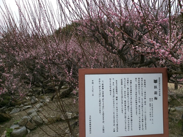 b0183583_2248995.jpg