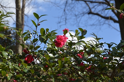 c0229483_10123114.jpg