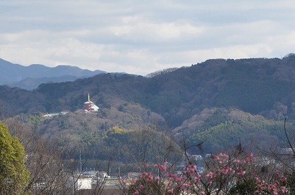c0229483_1041524.jpg