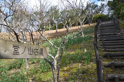 c0229483_916766.jpg