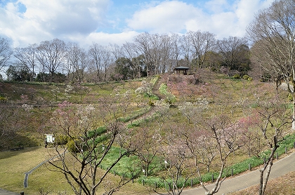 c0229483_9181075.jpg