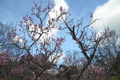 c0229483_923938.jpg