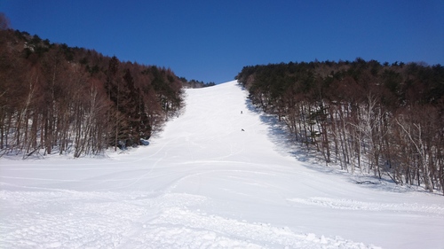 e0015490_2034891.jpg