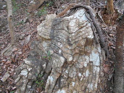 f0308898_13194002.jpg