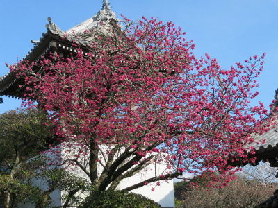 c0125501_22540247.jpg