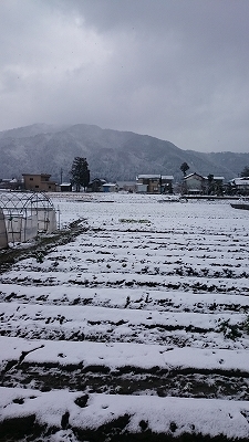 c0163102_21201078.jpg