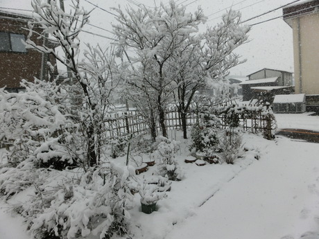 a0203003_15432883.jpg
