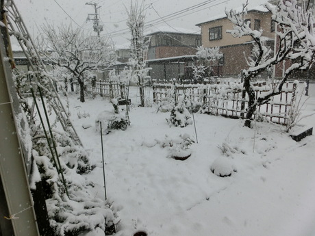 a0203003_1544435.jpg