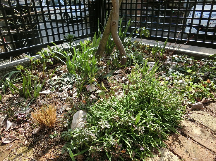 e0234004_21163469.jpg