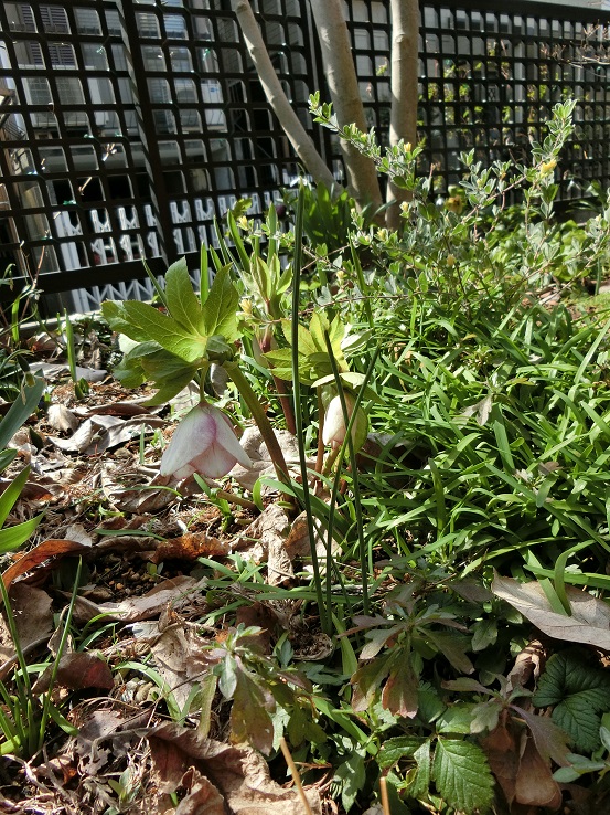 e0234004_2116576.jpg