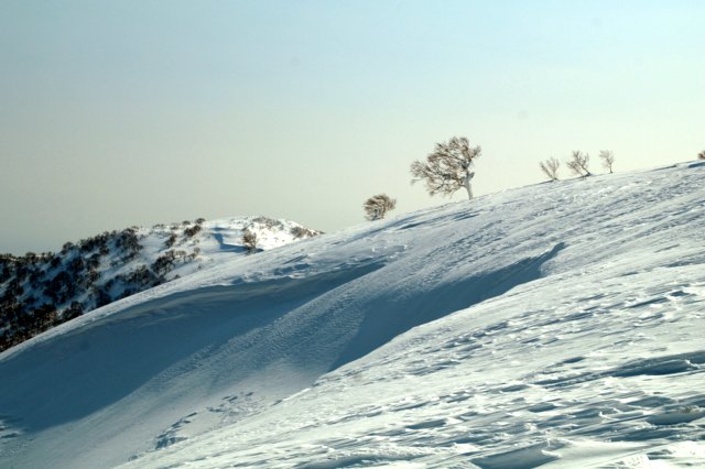 a0345007_11192626.jpg