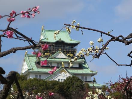 太閤さんのお城のふもとの、春の訪れ☆_c0098807_20110287.jpg