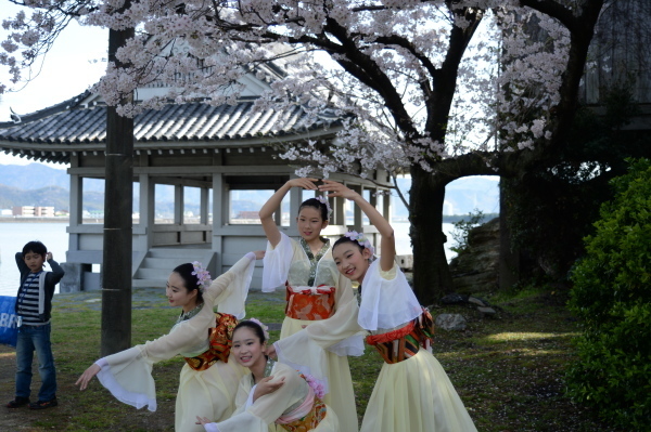 名勝和歌の浦　桜まつり_c0367107_12143593.jpg