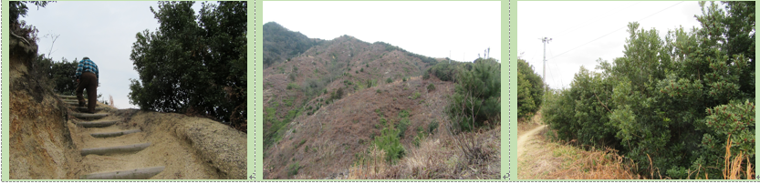 f0231709_23174684.png