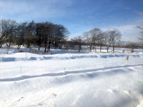d0341811_17264117.jpg