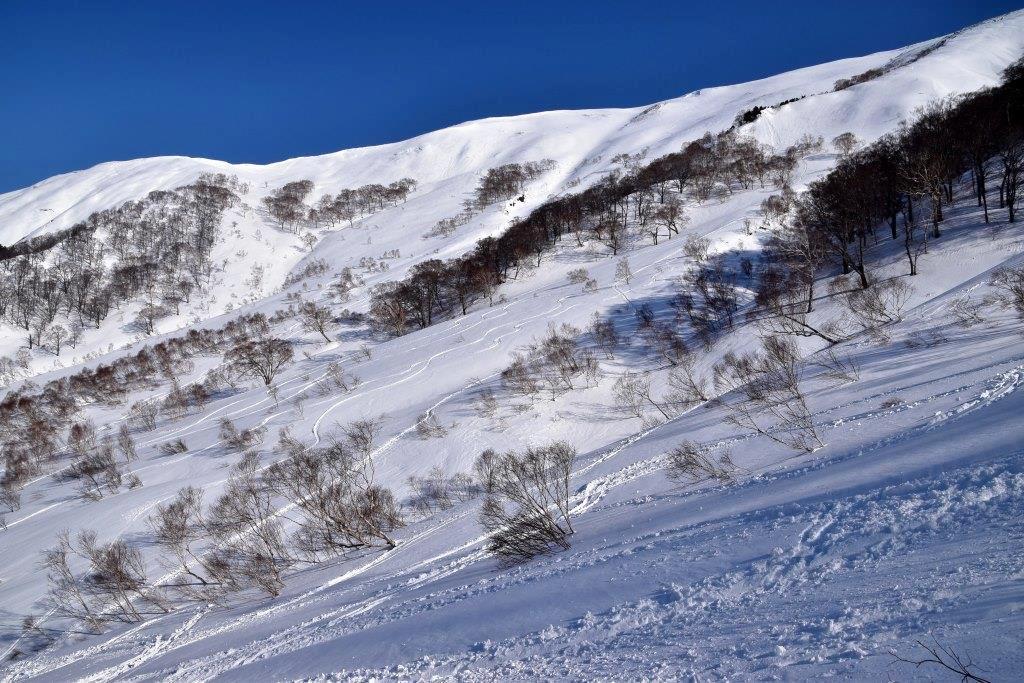 2017/3/5 平標山（ヤカイ沢コース）_a0340812_18024048.jpg