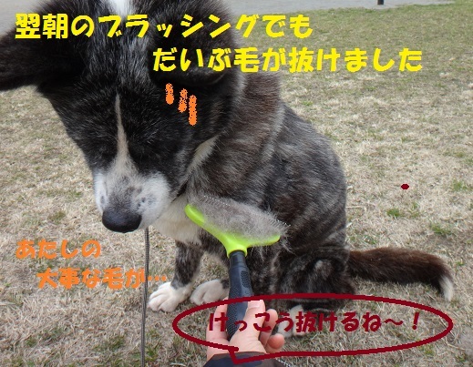 f0121712_16101498.jpg