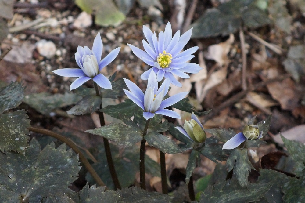 c0042418_08470435.jpg