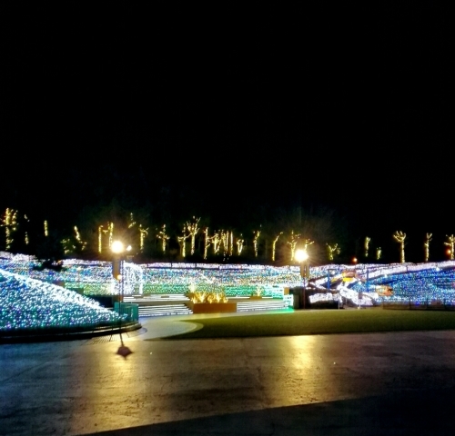 b0162119_00533067.jpg