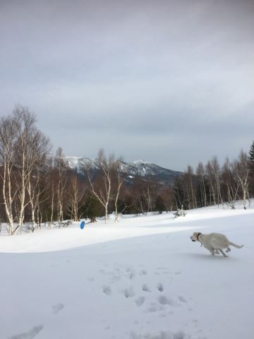 c0114121_23332048.jpg