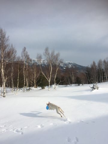 c0114121_23433420.jpg