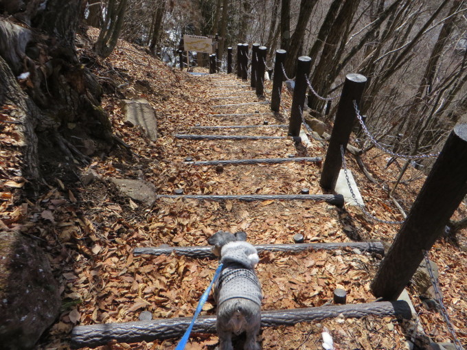 e0109622_20230198.jpg