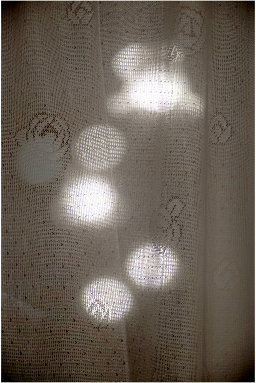 b0226423_21565638.jpg