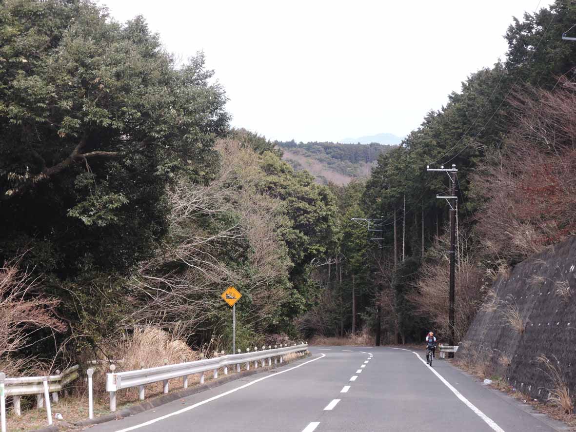 伊豆サイクリング_d0211129_1730960.jpg