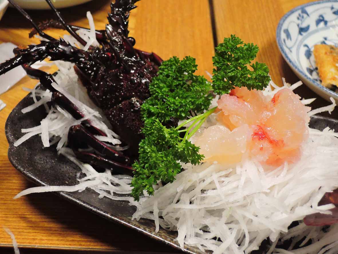 伊豆サイクリング_d0211129_17532892.jpg